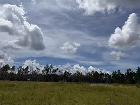 120136 25acre Longleaf Dr, Sumatra, FL 32321 photo 7