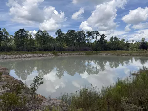 120136 25acre Longleaf Dr, Sumatra, FL 32321 photo 3