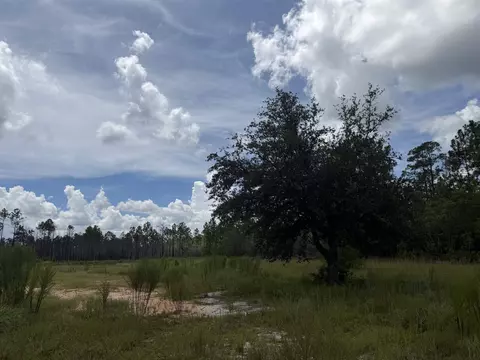 120136 25acre Longleaf Dr, Sumatra, FL 32321 photo 4