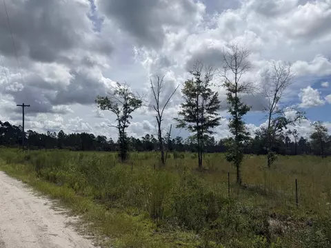 120136 25acre Longleaf Dr, Sumatra, FL 32321 photo 8