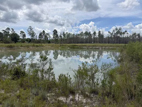 120136 25acre Longleaf Dr, Sumatra, FL 32321 photo 6