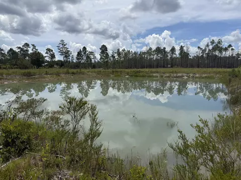 120136 25acre Longleaf Dr, Sumatra, FL 32321 photo 2
