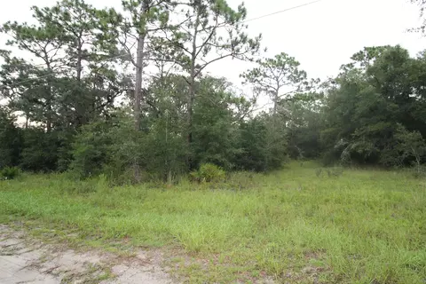 lot4 Britton Dr, Panacea, FL 32346 photo 5