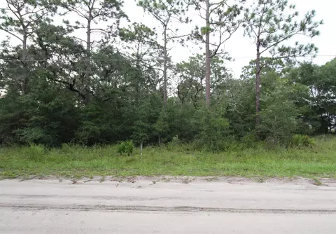 lot4 Britton Dr, Panacea, FL 32346