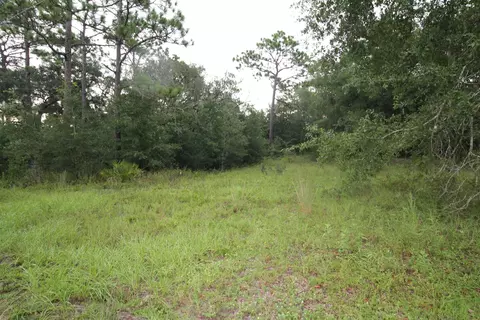 lot4 Britton Dr, Panacea, FL 32346 photo 6