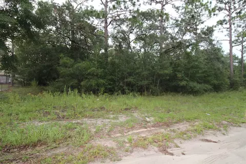 lot4 Britton Dr, Panacea, FL 32346 photo 3