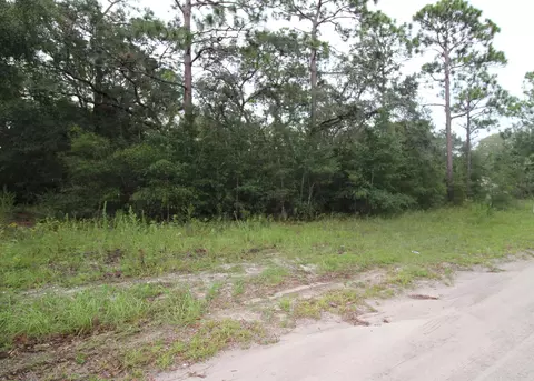 lot4 Britton Dr, Panacea, FL 32346 photo 2