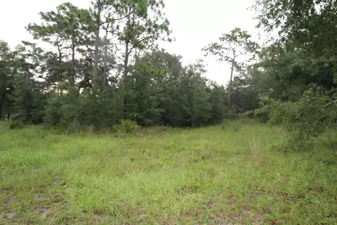 lot4 Britton Dr, Panacea, FL 32346 photo 7