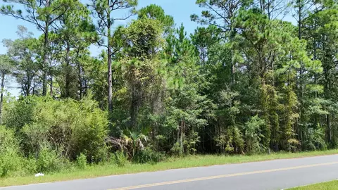 Nn Joe Mack Smith Street, Panacea, FL 32346