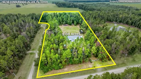780 NE Condurango Ln, Lee, FL 32059 photo 2