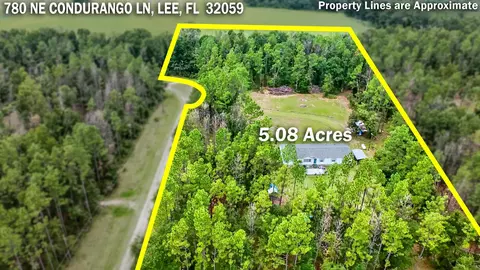 780 NE Condurango Ln, Lee, FL 32059 photo 58
