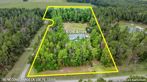 780 NE Condurango Ln, Lee, FL 32059 photo 63