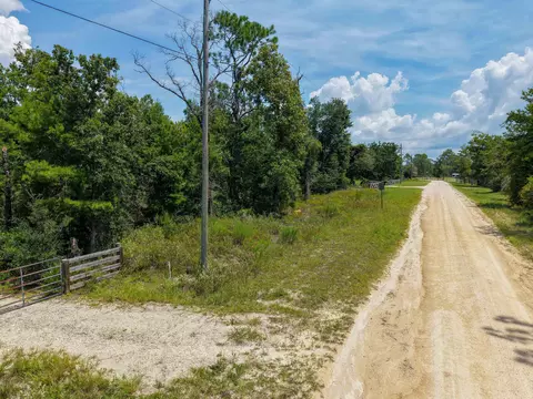 0 E Royal Oak Dr #LOT 35, Perry, FL 32348 photo 13