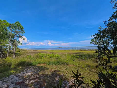View/Area - 216 Levy Bay Rd, Panacea, FL 32346 photo 3 of 6