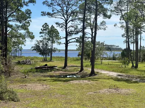 View/Area - 216 Levy Bay Rd, Panacea, FL 32346 photo 2 of 6