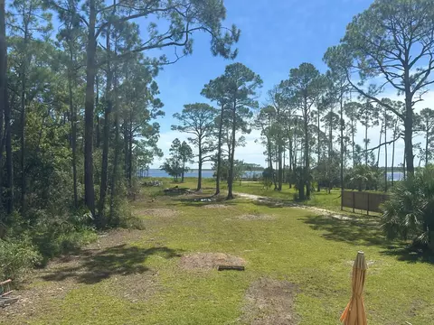 View/Area - 216 Levy Bay Rd, Panacea, FL 32346 photo 5 of 6