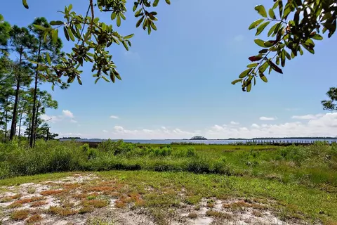 View/Area - 216 Levy Bay Rd, Panacea, FL 32346 photo 4 of 6