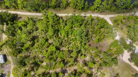Vacant Glenda Ln, Perry, FL 32348 photo 14