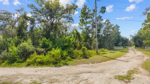 Vacant Glenda Ln, Perry, FL 32348 photo 20