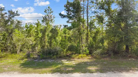 Vacant Glenda Ln, Perry, FL 32348 photo 3