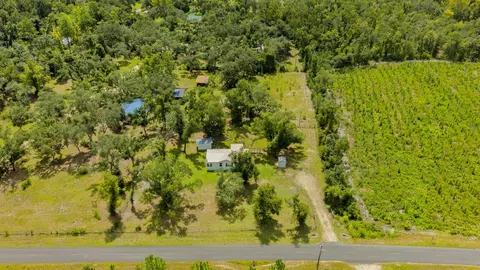 1725 Ma Dixon Rd, Perry, FL 32348 photo 37