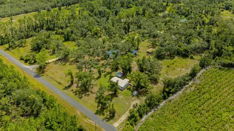 1725 Ma Dixon Rd, Perry, FL 32348 photo 36