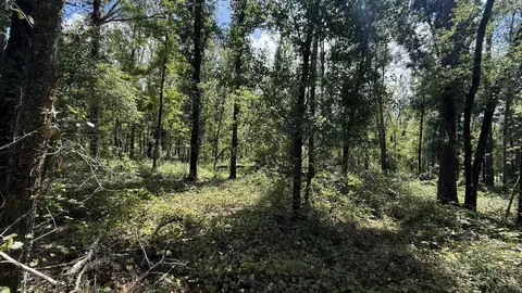 Undisclosed, Madison, FL 32340 photo 18