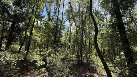 Undisclosed, Madison, FL 32340 photo 10
