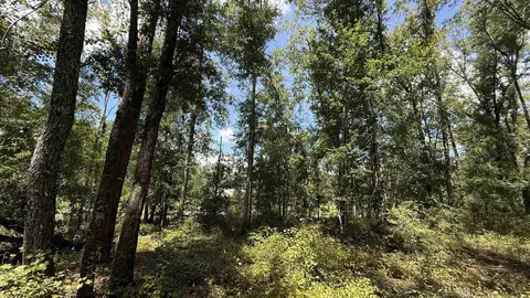 Undisclosed, Madison, FL 32340 photo 16