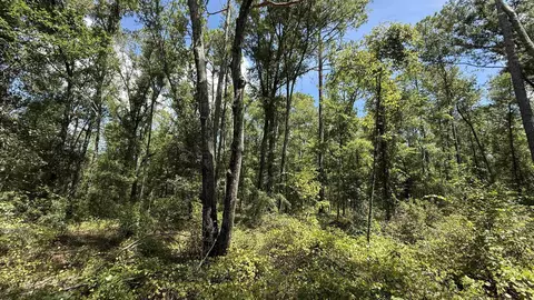 Undisclosed, Madison, FL 32340 photo 15