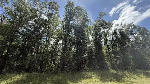 Undisclosed, Madison, FL 32340 photo 2