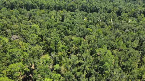 Undisclosed, Madison, FL 32340 photo 24