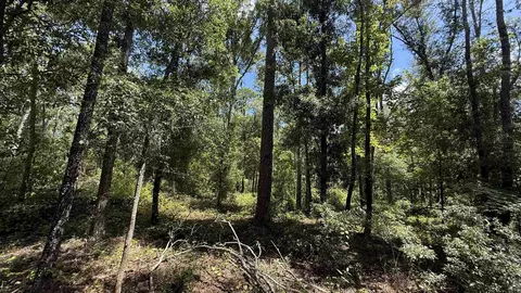 Undisclosed, Madison, FL 32340 photo 9