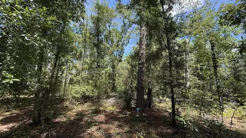 Undisclosed, Madison, FL 32340 photo 8