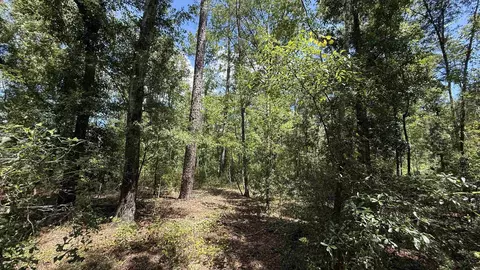 Undisclosed, Madison, FL 32340 photo 21
