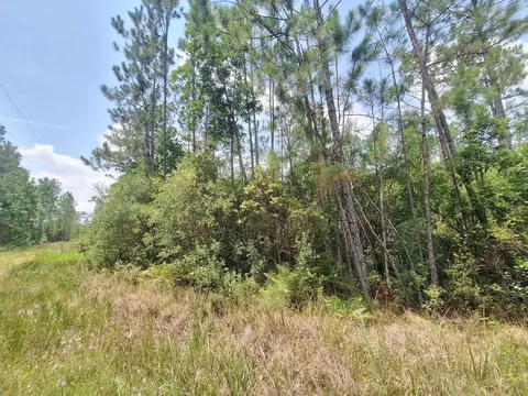 tbd Wildcat Rd, Perry, FL 32348 photo 7