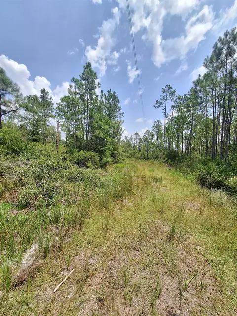 tbd Wildcat Rd, Perry, FL 32348 photo 2