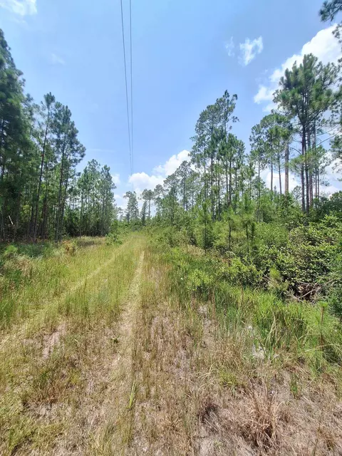 tbd Wildcat Rd, Perry, FL 32348 photo 3