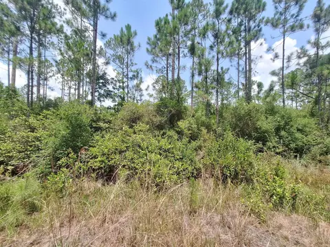 tbd Wildcat Rd, Perry, FL 32348 photo 4