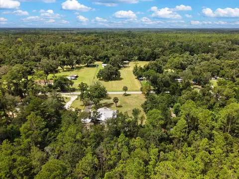 View/Area - 1850 Dice Rd, Perry, FL 32348 photo 9 of 9