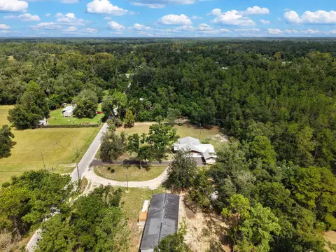 View/Area - 1850 Dice Rd, Perry, FL 32348 photo 7 of 9