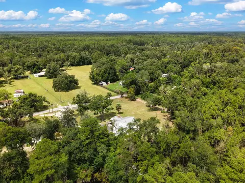 View/Area - 1850 Dice Rd, Perry, FL 32348 photo 8 of 9