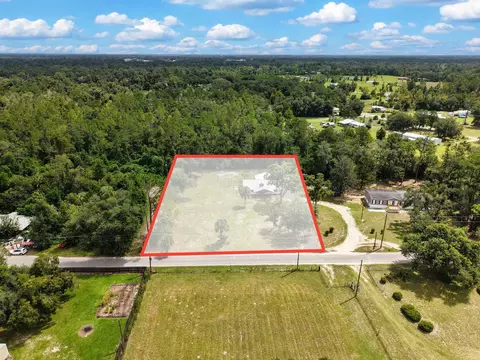 View/Area - 1850 Dice Rd, Perry, FL 32348 photo 2 of 9