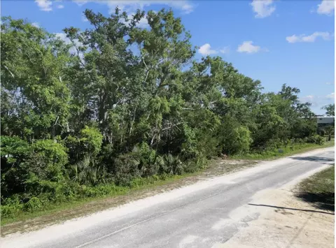 0 Spring Warrior Rd, Perry, FL 32348 photo 8