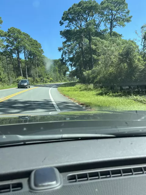 Nn Ryan Drive, Carrabelle, FL 32322 photo 6