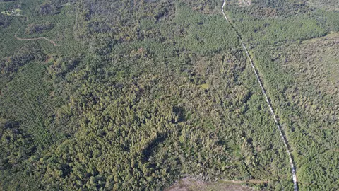 0 Airport Grade Rd, Perry, FL 32348 photo 5