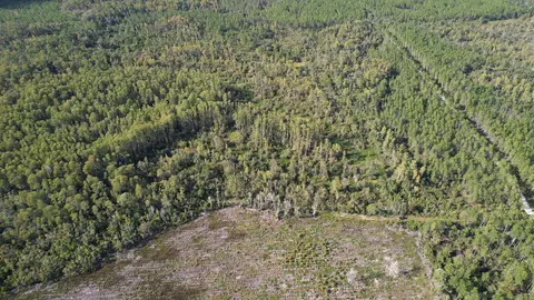 0 Airport Grade Rd, Perry, FL 32348 photo 2