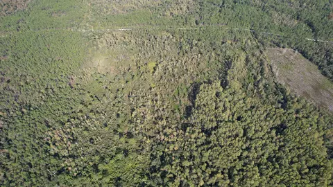 0 Airport Grade Rd, Perry, FL 32348 photo 4