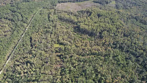 0 Airport Grade Rd, Perry, FL 32348 photo 3
