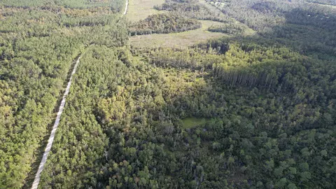 0 Airport Grade Rd, Perry, FL 32348 photo 6